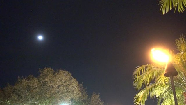 Moon In Sky Dark Evening In Tropical Hawaiin Totem Flames Fire By Palm Tree At Night
