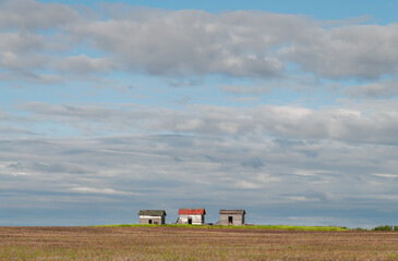 Ole wooden grain bins on the prairie landscape reflect farming from days long ago 