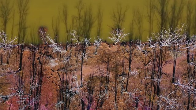 Aerial view from a drone of the marshes of Rubin, Rio del Escudo, Oyambre Natural Park, San Vicente de la Barquera, Cantabrian Sea, Cantabria, Spain, Europe