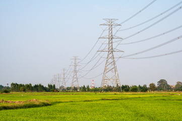 Arrangement of High voltage pole, Transmission tower on rice field in countryside