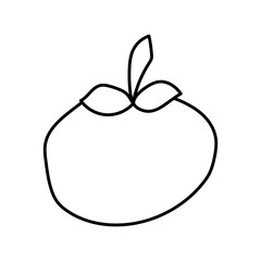 Hand drawn vector element - tomato