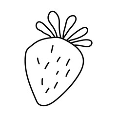 Hand drawn vector element - strawberry