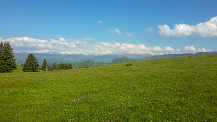 Fototapeta premium mountain landscape in the spring with the Alps mountains