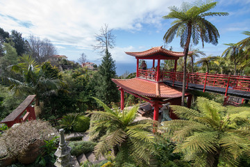 Fototapeta premium PORTUGAL MADEIRA FUNCHAL JARDIM TROPICAL