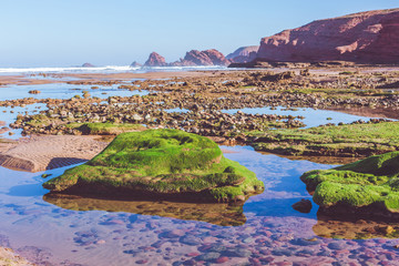 Algae-covered stones and red rocks on the Atlantic coast. Pebbles on the beach. Panoramic seascape in Morocco. Clear blue sky