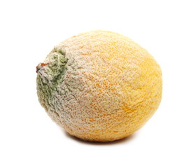 Moldy lemon with fungus isolated on white background