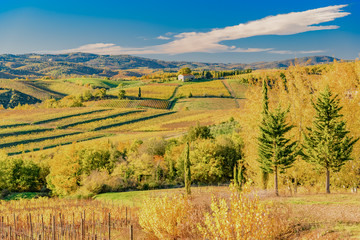 Fototapeta na wymiar colors of the Tuscan countryside in the province of Siena