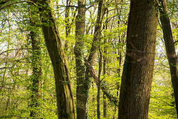 Im Fall gefangen