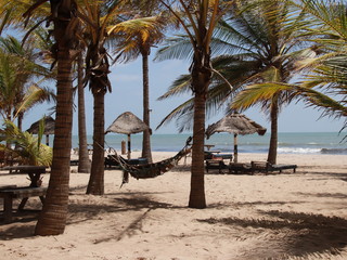 relaks na plaży w Afryce  piękna Gambia  - obrazy, fototapety, plakaty