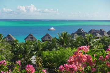 Turquoise and Blue Pacific Ocean with Boat in Background and Overwater Bungalows, Tropical Plants and Flowers in Foreground in Bora Bora French Polynesia 