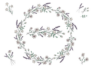 Decorative cute colored wreath of simple flowers and plants in doodle style. Lavender. Provence. Chamomile. Pattern brush. Elements of the wreath. Isolated objects on a white background.