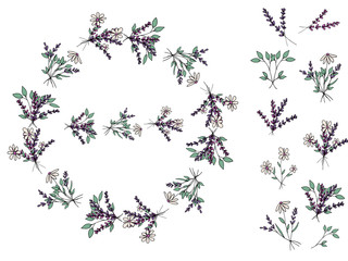 Decorative festive color wreath of cute bouquets, flowers and plants in doodle style. Lilac lavender. Tender camomile. Pattern brush. Elements of the wreath. Isolated objects on a white background.