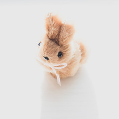 cute easter bunny on white background