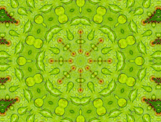 fractal background
