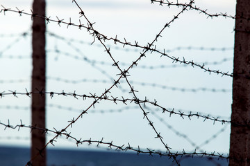 Barbed wire fencing on a sky background. Close up