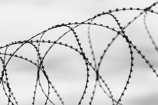 Barbed wire fencing on a sky background. Close up