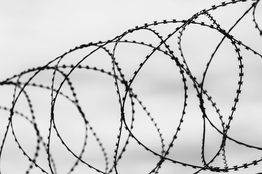 Fence. Barbed wire on a sky background. Black and white