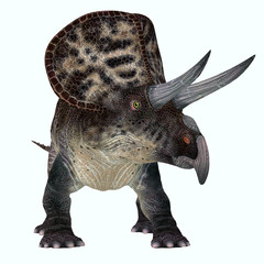 Zuniceratops Dinosaur over White - Zuniceratops was a herbivorous Ceratopsian dinosaur that lived in New Mexico, United States during the Cretaceous Period.