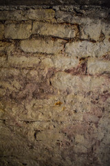 old rusty white stone wall covered with mold