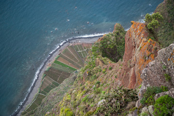 PORTUGAL MADEIRA PONTA DO SOL AGRICULTURE