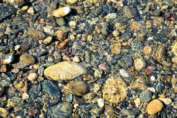 Colorful pebbles at the bottom of the river