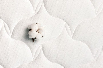 Fototapeta na wymiar Cotton flowers on a comfortable mattress texture background top view. White texture of mattress bedding background. Healthy sleep concept, comfortable bed. Tender air background with cotton