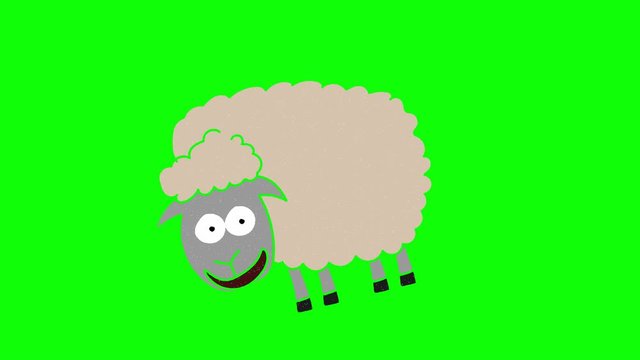sheep hand drawn green screen. floating loop animation