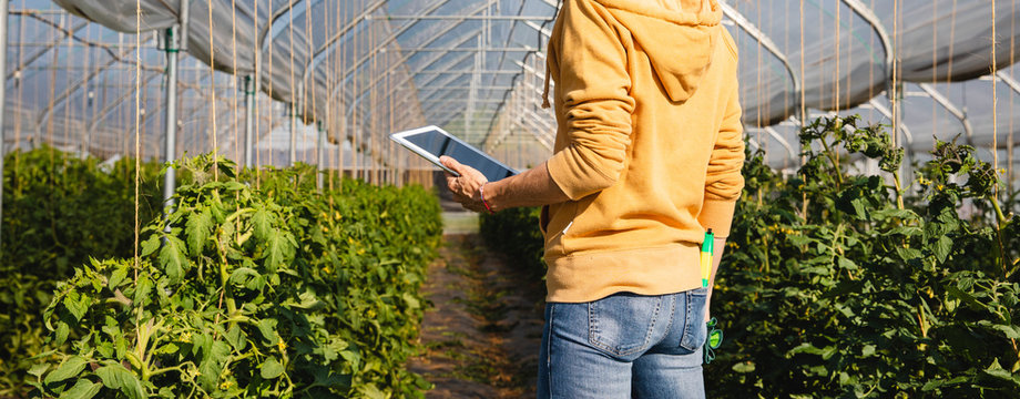 Working with digital tablet in a greenhouse