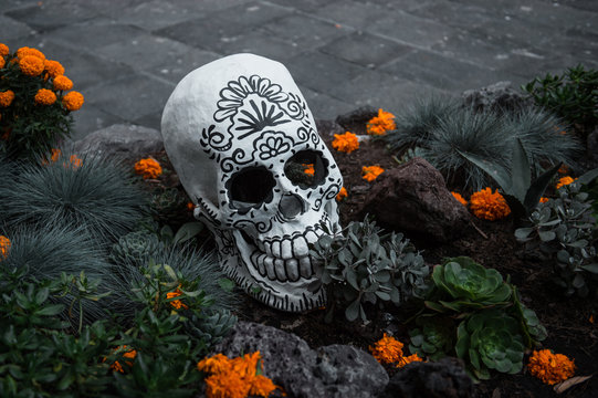 decorative human skulls in honour of Dia de los Muertos