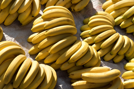 Fresh yellow bananas in a market