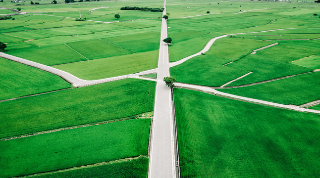 Aerial view of rice field in Taiwan
