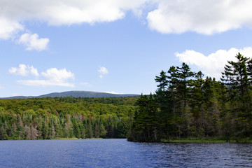 Obraz premium Mount Moosilauke from Long Pond in Benton, NH