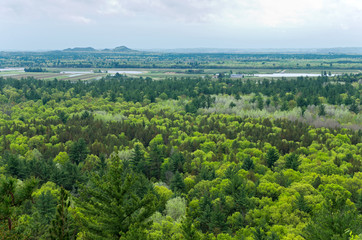 Aerial view of black river state forest