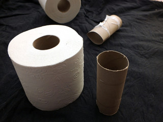 Klopapier toilettenpapier leere rolle