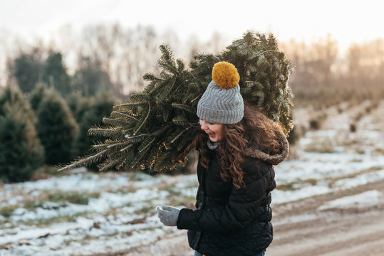 Christmas tree farm