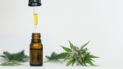 Close-up of hand holding pipette with hemp oil and marijuana buds. Medicinal extract oil in a...