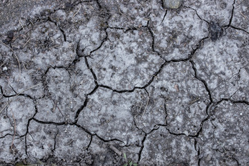 Dry Cracked Dirt
