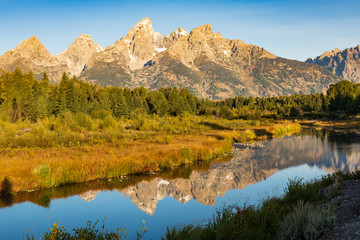 Teton mountain reflecting in water with Fall color
