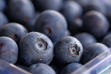 close up of fresh blue berry in a box.