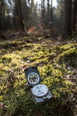 Kompas wskazujący kierunek w lesie - obrazy, fototapety, plakaty
