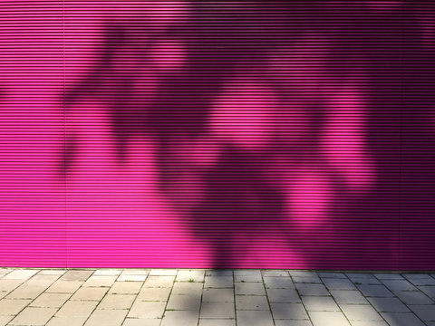 pink wall with shadow of tree