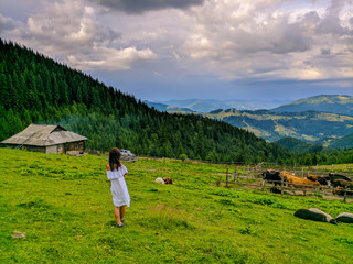 Fototapeta na wymiar Travel and life in the Carpathian