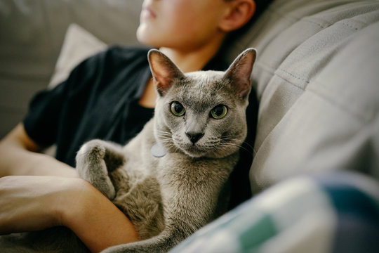 Midsection of boy sitting with his cat on sofa at home