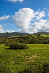 Fototapeta premium Landscape with Bieszczady mountains in Poland