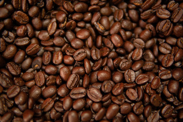 Fototapeta premium Granos de café sobre una base plana