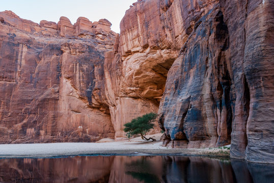 Guelta d'Archei waterhole near oasis, Ennedi Plateau, Chad, Africa
