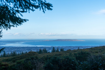 Stunning view of Dublin city and port from Ticknock, 3rock, Wicklow mountains. Gorse and forest plants in foreground during calm weather. Selective focus.