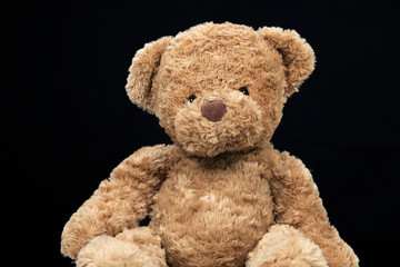 brown teddy bear against black