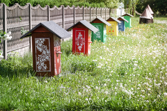 kolorowe ule na zielonej trawie, ule dla pszcz&oacute;ł