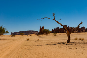 Rock formation and desert vegetation, Sahara dessert, Chad, Africa